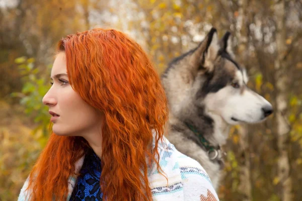 Mulher bonita com cabelo vermelho viajando com seu enorme cão Malamute — Fotografia de Stock