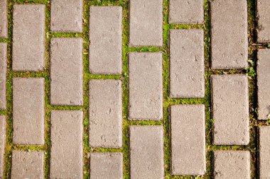 yol Park üst bölümünde