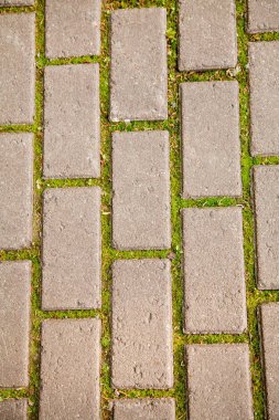 yol Park üst bölümünde