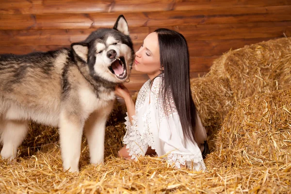 美丽开朗积极的女孩玩她的狗阿拉斯加干草 — 图库照片
