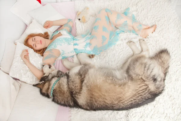 美しいヨーロッパの女の子が横になっていると白いベッド上面の彼女最高の友達犬マラミュート レース ナイトガウンで眠っています — ストック写真