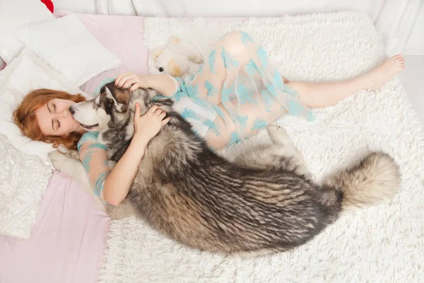 adorable caucasian girl in transparent lace nightgown plays with her best friend dog Malamute on the white bed near the window