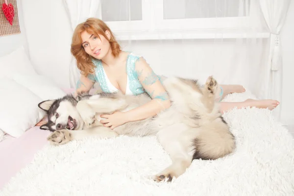 adorable caucasian girl in transparent lace nightgown plays with her best friend dog Malamute on the white bed near the window