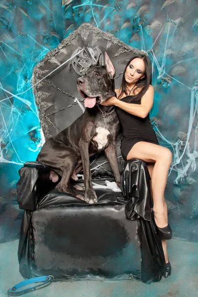 かわいいブルネットの女の子彼女の最高の友人巨大な犬黒犬のポーズ — ストック写真