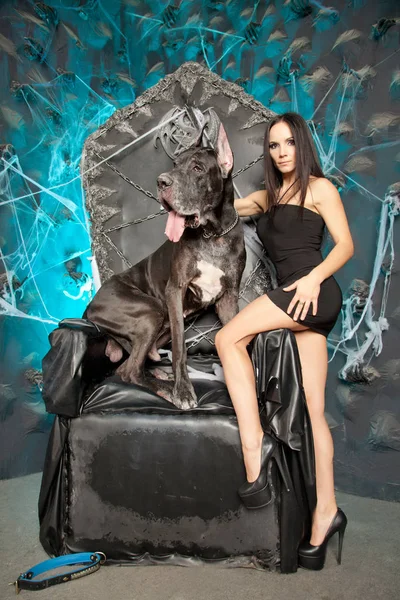 Linda Chica Morena Posando Con Mejor Amigo Perro Enorme Perro —  Fotos de Stock