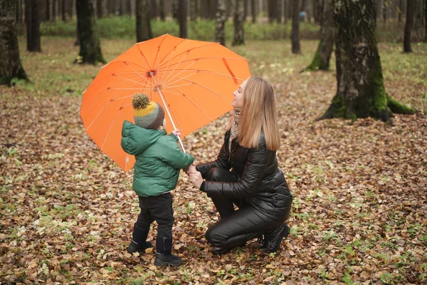 Uma bela mãe caucasiana e criança pequena se divertindo no outono Park, andando com guarda-chuva — Fotografia de Stock