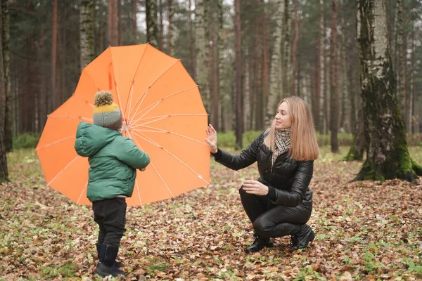 Uma bela mãe caucasiana e criança pequena se divertindo no outono Park, andando com guarda-chuva — Fotografia de Stock