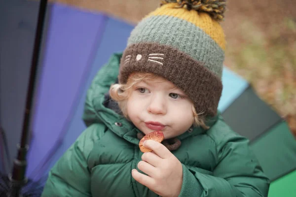 Parkta renkli gökkuşağı şemsiyeli tanınmayan küçük bir çocuk. 2 yaşındaki bebek, sonbaharda ceket ve şapka giyer. — Stok fotoğraf