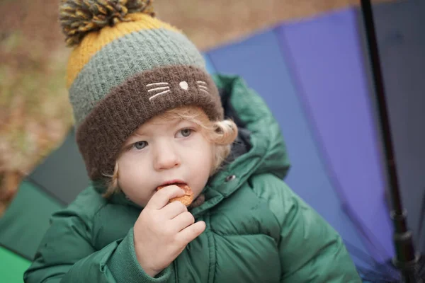 An unrecognizable little child with a colored rainbow umbrella in the Park. 2 year old baby stands back in jacket and hat in autumn — Stock Photo, Image