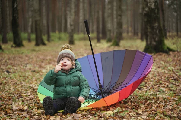 Un petit enfant méconnaissable avec un parapluie arc-en-ciel coloré dans le parc. 2 ans bébé se tient en arrière dans la veste et le chapeau en automne — Photo