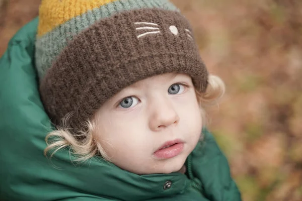 Feliz 2 años niño primer plano retrato en el parque de otoño —  Fotos de Stock