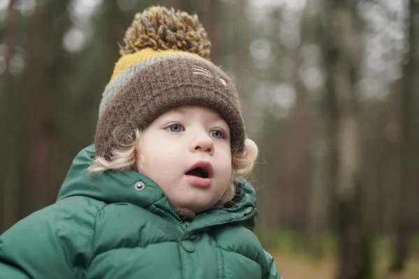 Happy 2 years old child closeup portrait at autumn park — Stock Photo, Image