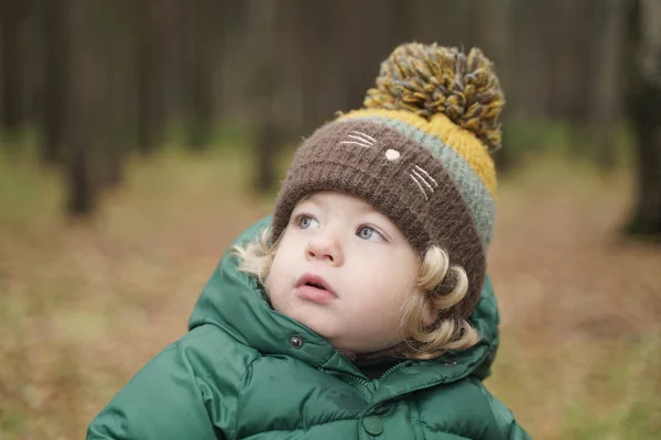 Happy 2 years old child closeup portrait at autumn park — Stock Photo, Image