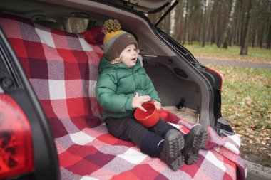 Küçük tatlı çocuk kırmızı bir ekoseli arabanın bagajında oturuyor ve sonbahar pikniğinin tadını çıkarıyor.