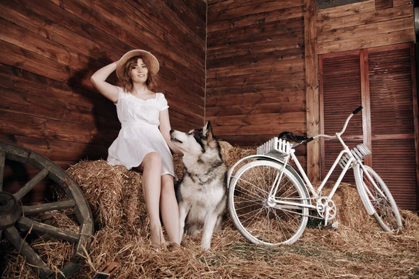 Schattig plus size blank meisje met rood haar in een witte zomer jurk poseert met haar grote hond Malamute beste vriend op een hooiberg in een schuur — Stockfoto