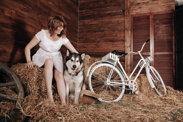 Schattig plus size blank meisje met rood haar in een witte zomer jurk poseert met haar grote hond Malamute beste vriend op een hooiberg in een schuur — Stockfoto