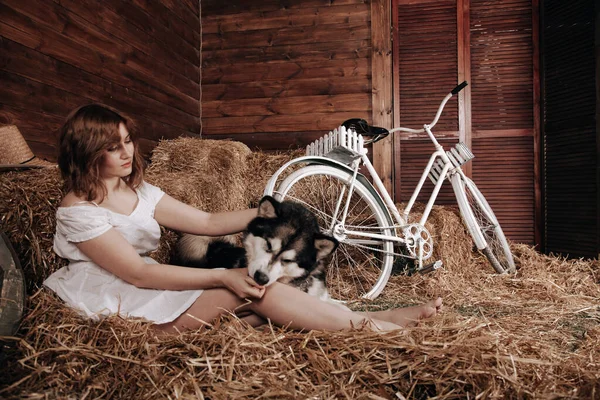 Adorable plus la taille caucasienne fille aux cheveux roux dans une robe d'été blanche pose avec son gros chien Malamute meilleur ami sur une meule de foin dans une grange — Photo