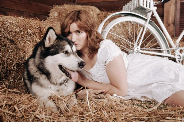Adorable plus size kaukaska dziewczyna z czerwonymi włosami w białej letniej sukience pozuje ze swoim dużym psem Malamute najlepszym przyjacielem na stogu siana w stodole — Zdjęcie stockowe