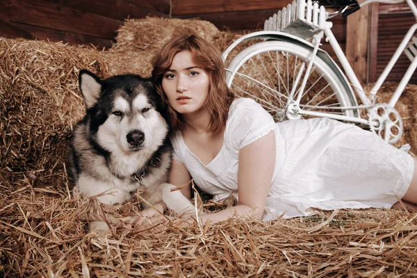 Adorable plus size kaukaska dziewczyna z czerwonymi włosami w białej letniej sukience pozuje ze swoim dużym psem Malamute najlepszym przyjacielem na stogu siana w stodole — Zdjęcie stockowe