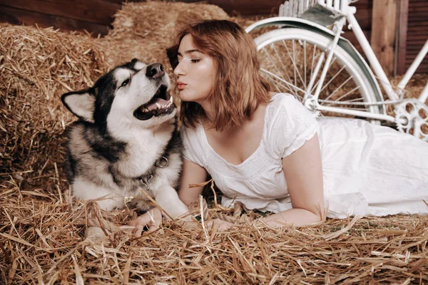 Adorable más tamaño caucásico chica con el pelo rojo en un vestido de verano blanco posa con su gran perro Malamute mejor amigo en un pajar en un granero —  Fotos de Stock