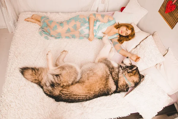 Charmante fille de taille plus avec les cheveux roux dans une chemise de nuit posant avec son grand chien, un meilleur ami Malamute dans un lit blanc dans la chambre — Photo