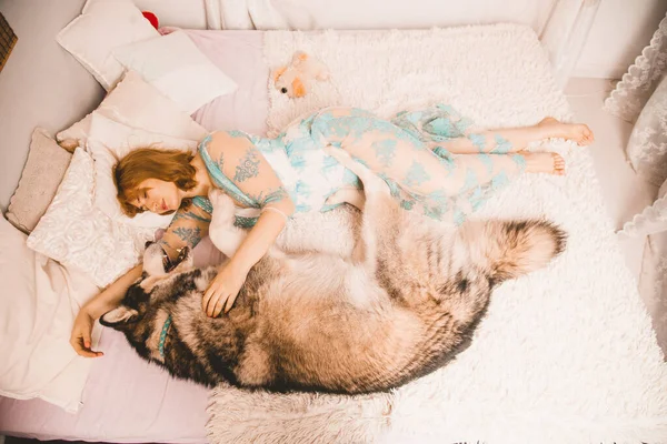 Charming plus size girl with red hair in a nightgown posing with her large dog, a Malamute best friend in white bed in the bedroom — ストック写真