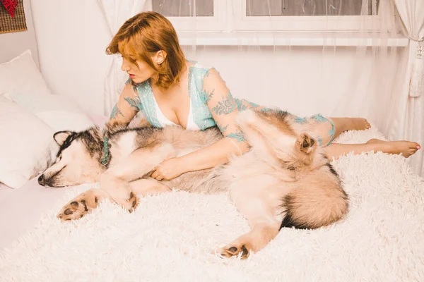 Charmante fille de taille plus avec les cheveux roux dans une chemise de nuit posant avec son grand chien, un meilleur ami Malamute dans un lit blanc dans la chambre — Photo