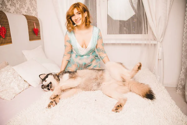 Charming plus size girl with red hair in a nightgown posing with her large dog, a Malamute best friend in white bed in the bedroom — ストック写真