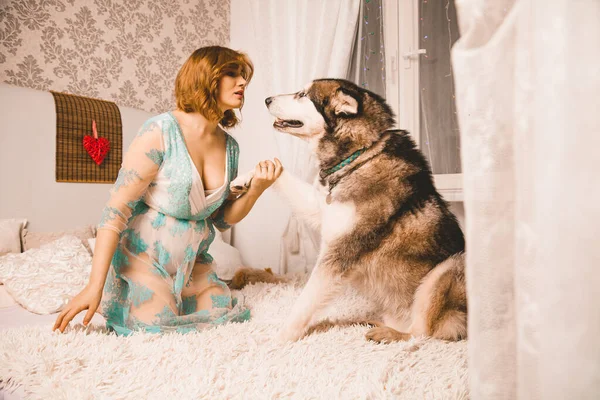 Encantadora chica de tamaño grande con el pelo rojo en un camisón posando con su perro grande, un mejor amigo Malamute en la cama blanca en el dormitorio —  Fotos de Stock