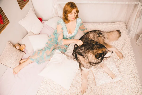 Charmante fille de taille plus avec les cheveux roux dans une chemise de nuit posant avec son grand chien, un meilleur ami Malamute dans un lit blanc dans la chambre — Photo