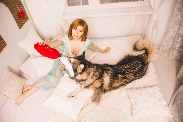 Charming plus size girl with red hair in a nightgown posing with her large dog, a Malamute best friend in white bed in the bedroom — Stock Photo, Image