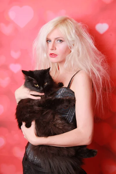 Joven atractiva chica con precioso adulto gato en estudio fondo — Foto de Stock