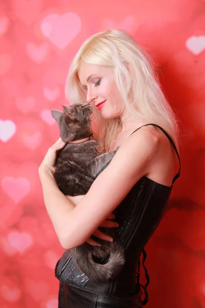 Jong aantrekkelijk meisje met mooie volwassen kat op studio achtergrond — Stockfoto