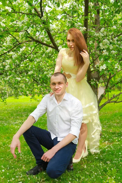 A noiva e o noivo estão andando no pomar da maçã, posando sob os ramos de uma macieira. — Fotografia de Stock