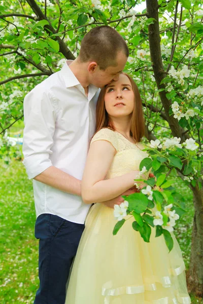 Η νύφη και ο γαμπρός περπατούν στον οπωρώνα, ποζάροντας κάτω από τα κλαδιά μιας μηλιάς.. — Φωτογραφία Αρχείου