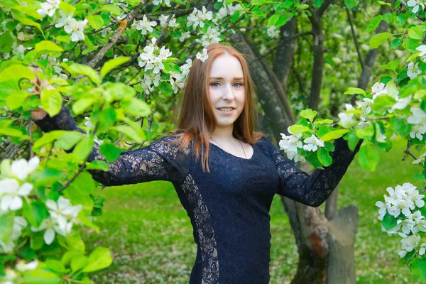 Kaunis nainen kukinnan omenapuu kesäpuistossa — kuvapankkivalokuva