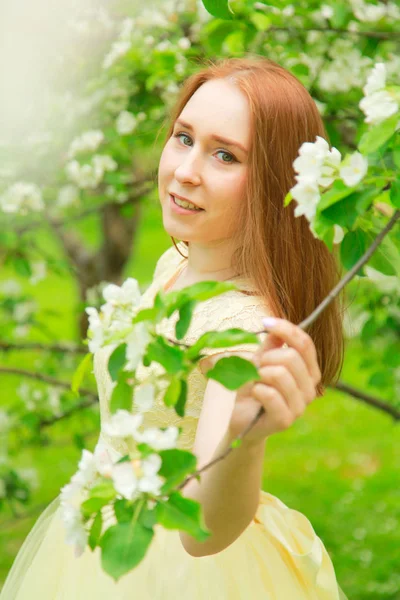Mulher bonita com árvore de maçã florida no parque de verão — Fotografia de Stock