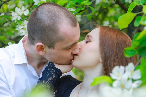 Молодая пара в фруктовом саду яблони сад с цветущими ветвями ходить вместе и есть свидание — стоковое фото