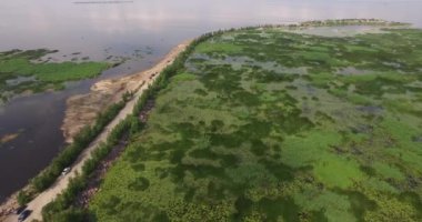 Deniz sörf close-up. Kıyı deniz suyu ve yosun ile kaplı büyük kayalar.