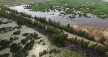 Deniz sörf close-up. Kıyı deniz suyu ve yosun ile kaplı büyük kayalar.