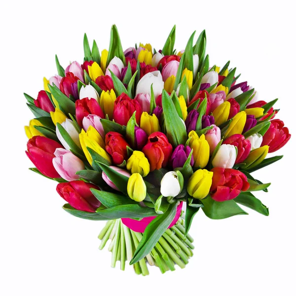 Boeket tulpen — Stockfoto