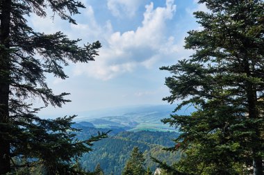 Pieniny Milli Parkı, Polonya'da, güneşli Eylül günü güzel panoramik manzaralı