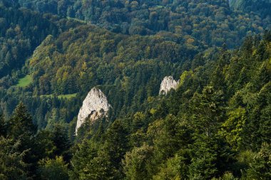 Güzel panoramik Trzy Korony - Türkçe güneşli Eylül gününden Pieniny Milli Parkı, Polonya: üç kron