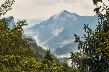 Pieniny Milli Parkı, Polonya Eylül gün yağmurlu ve sisli güzel panoramik görünüm