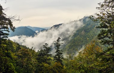Pieniny Milli Parkı, Polonya Eylül gün yağmurlu ve sisli güzel panoramik görünüm