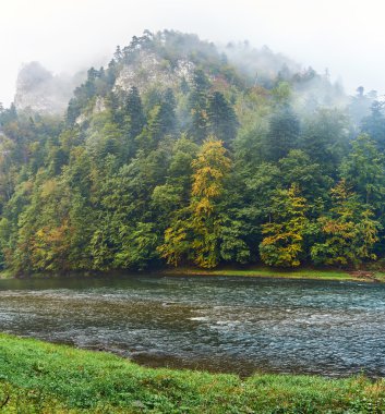 Güzel panoramik Dunajec nehir ve Pieniny Milli Parkı, Polonya, yağmurlu sisli Eylül günde
