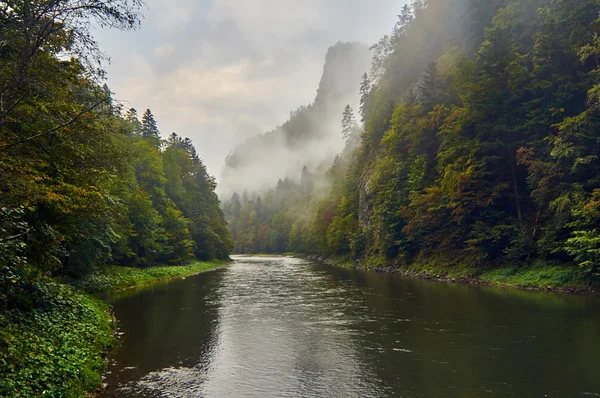 Piękny panoramiczny widok rzeki Dunajec i Pieniński Park Narodowy, Polska, w deszczowy dzień września mgliste — Zdjęcie stockowe