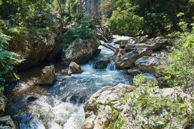 Tran şehir yakınındaki dağ manzara, Erma River Gorge, Kuzey-Batı Bulgaristan