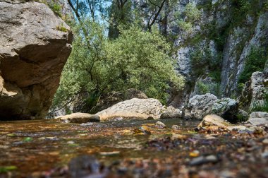 Tran şehir yakınındaki dağ manzara, Erma River Gorge, Kuzey-Batı Bulgaristan