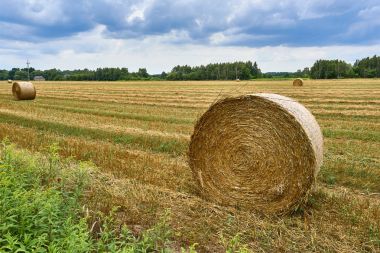 Saman ve buğday alanında yaz sonu Polonya, saman yığını